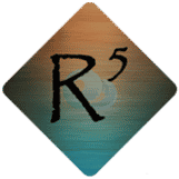 R5 Skinworks Logo